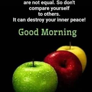 Meet your Posher, Yvonne